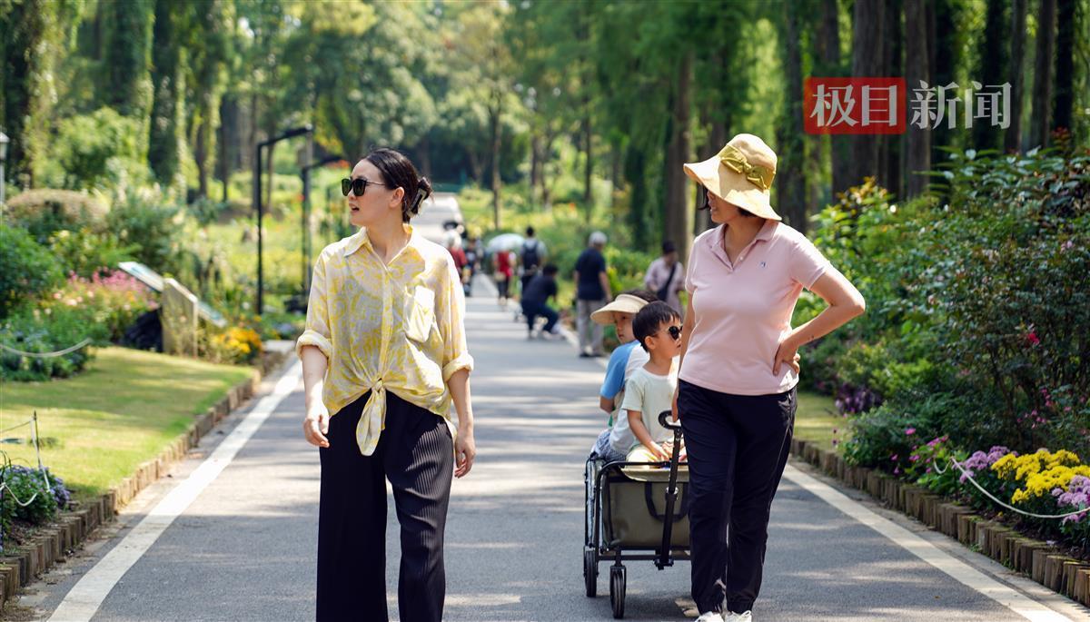 免费领取彩金游戏平台